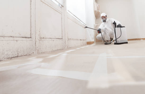 24/7 Emergency Crawl Space Mold Removal experts in Broadway, VA
