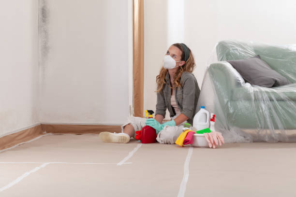 Trusted Crawl Space Mold Removal service in Broadway, VA - WQB Mold Removal