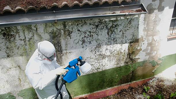 Top rated local Crawl Space Mold Removal specialists in Broadway, VA